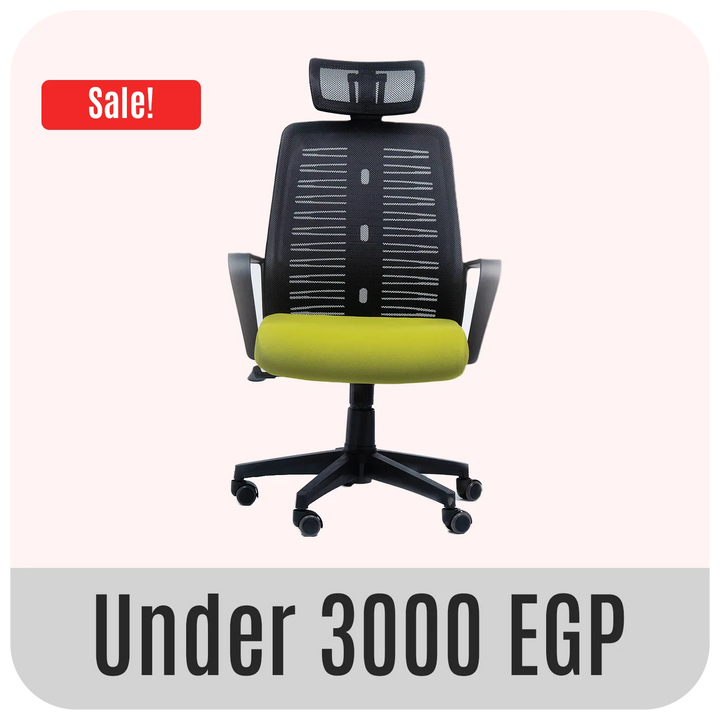 Under 3000 EGP